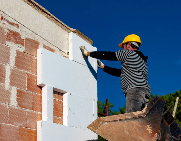 Best Residential Insulation in La Blanca, TX