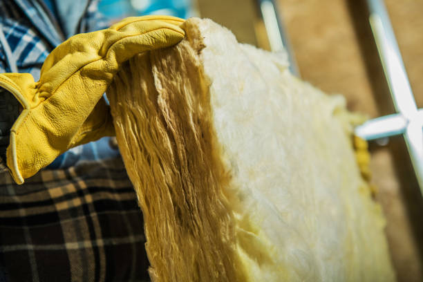 Best Blown-in Insulation in La Blanca, TX