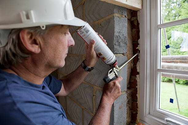Best Spray Foam Insulation in La Blanca, TX