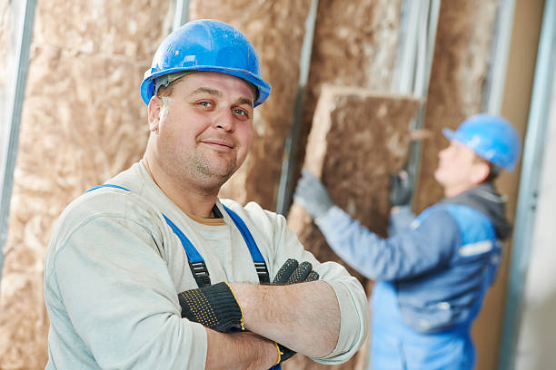 Best Insulation Maintenance and Repair in La Blanca, TX